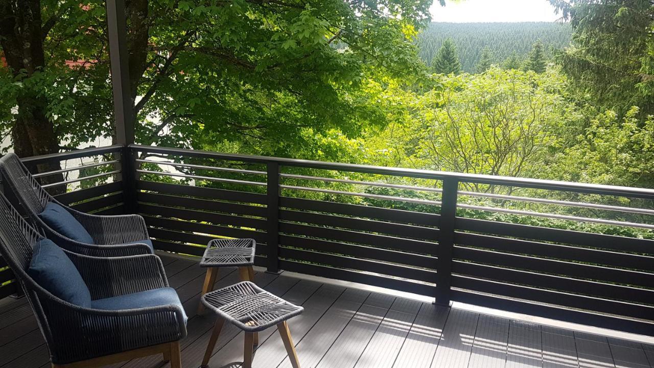 Pension & Ferienwohnung Oberhof 810 M Bagian luar foto